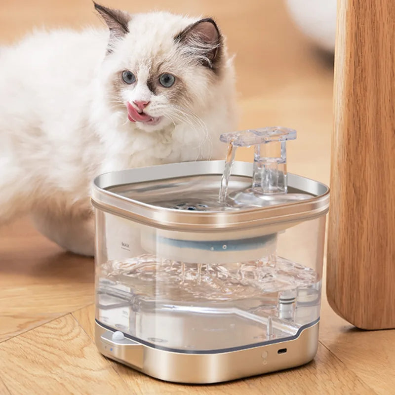 Fontaine d'eau pour chats