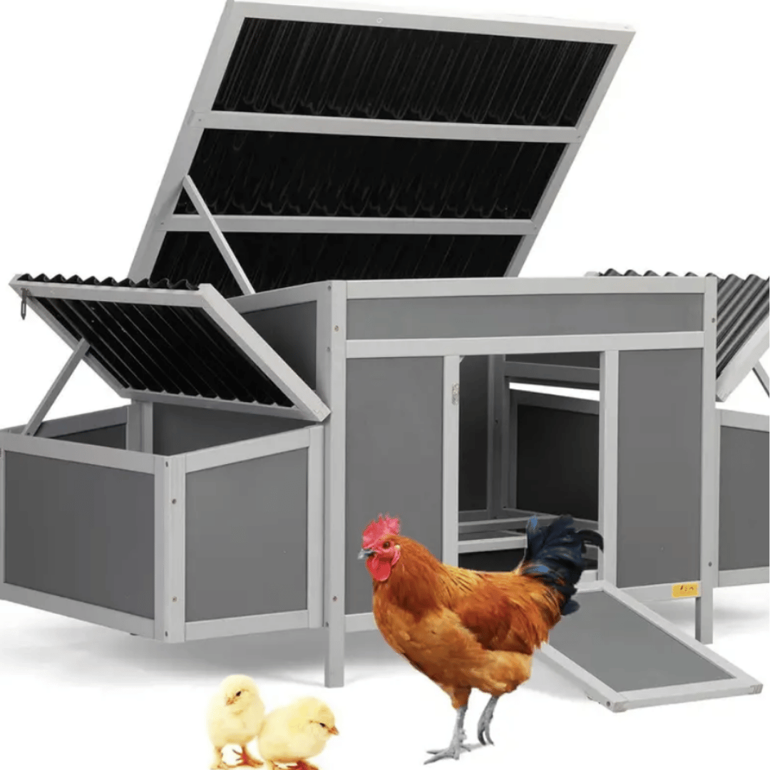 Poulailler Grand Confort en Bois – Protection Intempéries et Sécurité Maximale pour Vos Poules